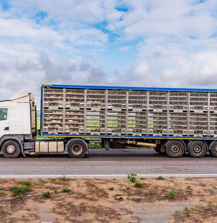 Transporter des produits agricoles Le Parc